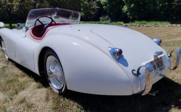 Unknown-Other-1954-Cream-9