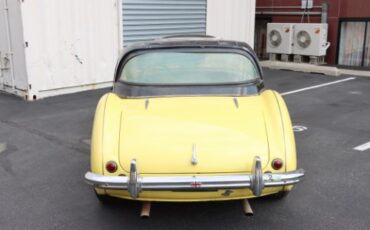 Unknown-Other-1954-Yellow-Black-4
