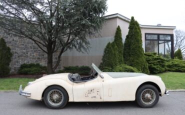 Unknown-Other-1957-Ivory-Black-1