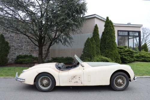 Unknown-Other-1957-Ivory-Black-1