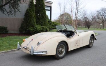 Unknown-Other-1957-Ivory-Black-3