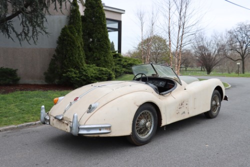 Unknown-Other-1957-Ivory-Black-3