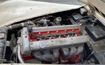Unknown-Other-1957-Ivory-Black-6