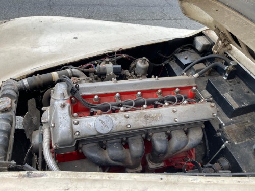 Unknown-Other-1957-Ivory-Black-6