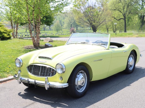 Unknown-Other-1959-Yellow-Black-1