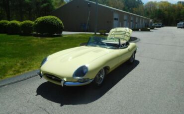 Unknown-Other-1962-Primrose-Yellow-Black-15