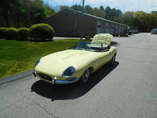 Unknown-Other-1962-Primrose-Yellow-Black-15