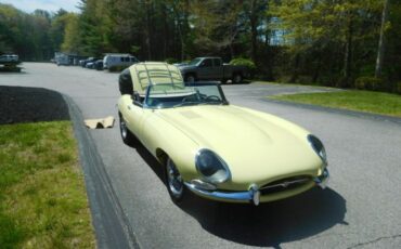 Unknown-Other-1962-Primrose-Yellow-Black-16