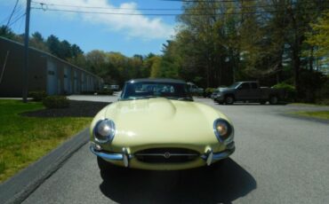 Unknown-Other-1962-Primrose-Yellow-Black-17