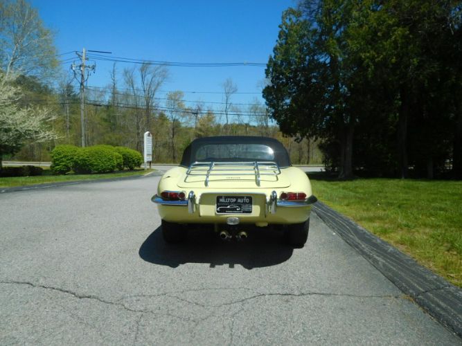 Unknown-Other-1962-Primrose-Yellow-Black-18