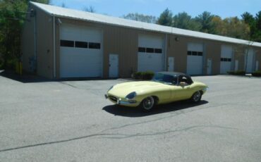 Unknown-Other-1962-Primrose-Yellow-Black-19