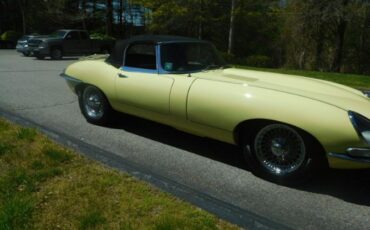 Unknown-Other-1962-Primrose-Yellow-Black-20