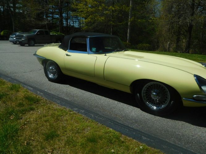 Unknown-Other-1962-Primrose-Yellow-Black-20