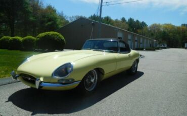 Unknown-Other-1962-Primrose-Yellow-Black-21