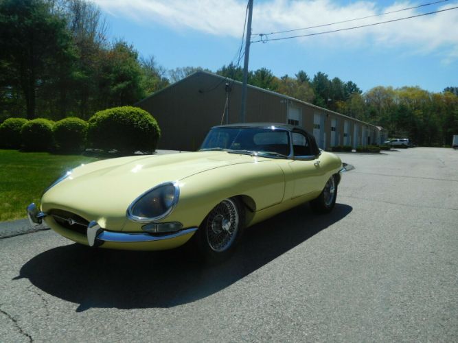 Unknown-Other-1962-Primrose-Yellow-Black-21