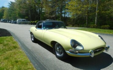 Unknown-Other-1962-Primrose-Yellow-Black-22
