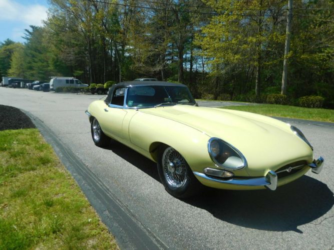 Unknown-Other-1962-Primrose-Yellow-Black-22