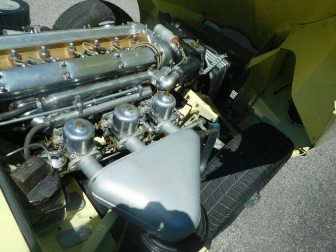 Unknown-Other-1962-Primrose-Yellow-Black-3