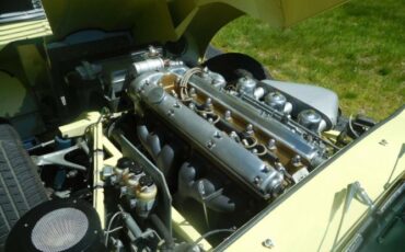 Unknown-Other-1962-Primrose-Yellow-Black-4