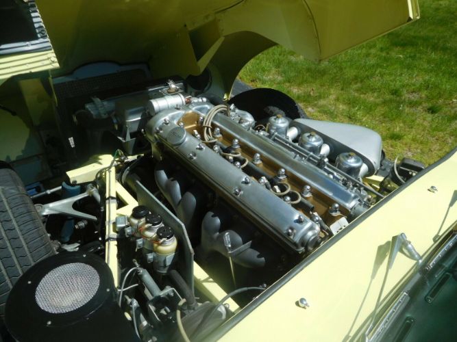 Unknown-Other-1962-Primrose-Yellow-Black-4