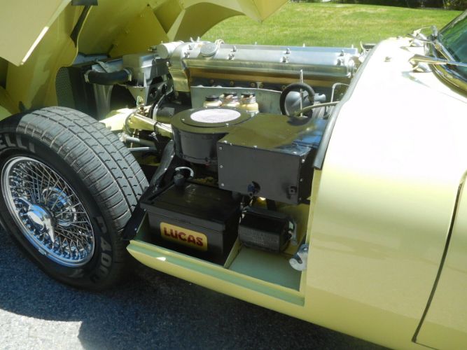 Unknown-Other-1962-Primrose-Yellow-Black-5