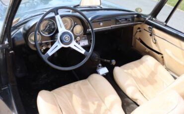 Unknown-Other-1963-Grey-Tan-6