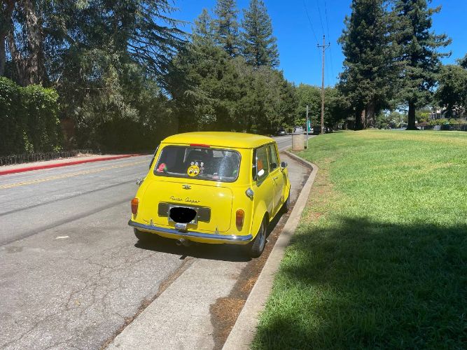 Unknown-Other-1964-Yellow-3