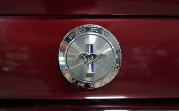 Unknown-Other-1965-Burgundy-Metallic-Black-10