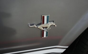 Unknown-Other-1965-Silver-Black-27