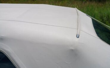Unknown-Other-1966-Mist-Blue-exterior-Black-48