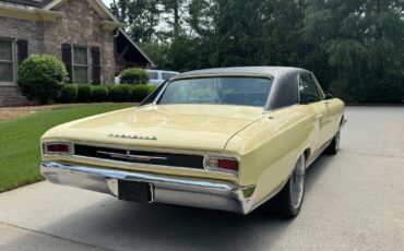 Unknown-Other-1966-Yellow-Black-30