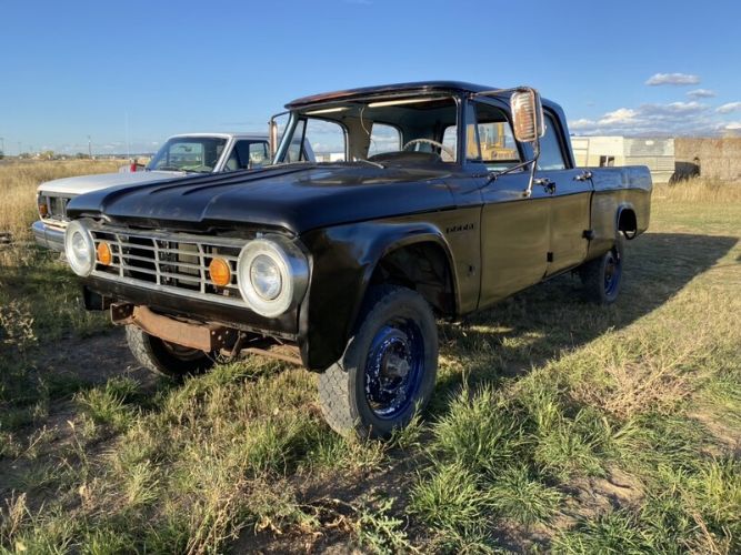 Unknown-Other-1967-Black-Brown-17