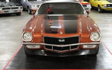 Unknown-Other-1970-Brown-Black-10
