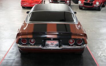 Unknown-Other-1970-Brown-Black-15