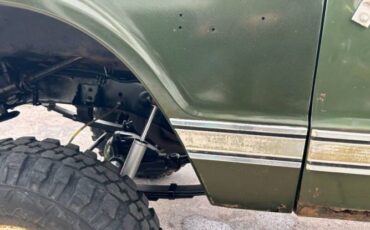 Unknown-Other-1970-Green-Tan-8