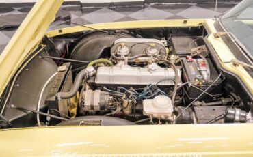 Unknown-Other-1970-Jasmine-Yellow-Black-19