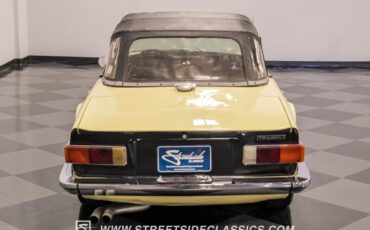 Unknown-Other-1970-Jasmine-Yellow-Black-6