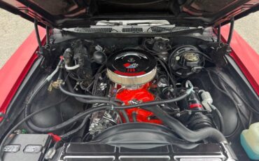 Unknown-Other-1970-Red-Black-42