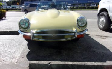 Unknown-Other-1970-Yellow-7