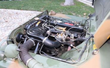 Unknown-Other-1971-Brown-8