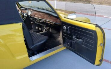 Unknown-Other-1971-Yellow-2