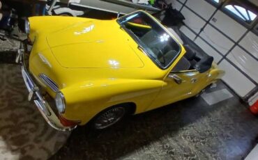 Unknown-Other-1971-Yellow-21