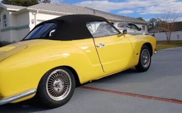 Unknown-Other-1971-Yellow-7