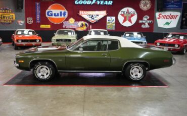 Unknown-Other-1973-Green-Green-10