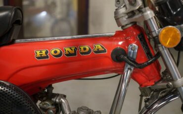Unknown-Other-1973-Red-Black-11
