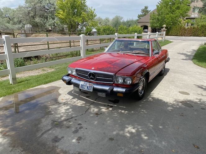 Unknown-Other-1974-Regal-red-Palomino-3