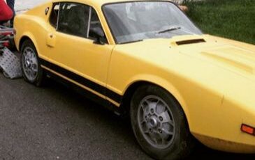 Unknown-Other-1974-Yellow-Brown-2
