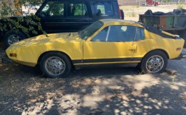 Unknown-Other-1974-Yellow-Brown