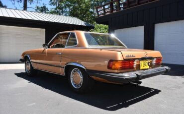 Unknown-Other-1975-Custom-Brown-1