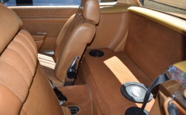 Unknown-Other-1975-Custom-Brown-11